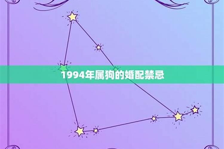 1994年属狗婚姻那动起来了