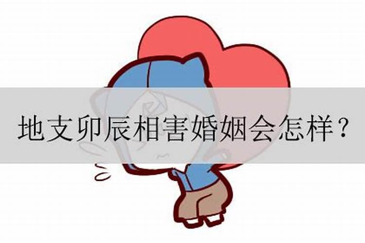 婚姻法有什么作用与意义