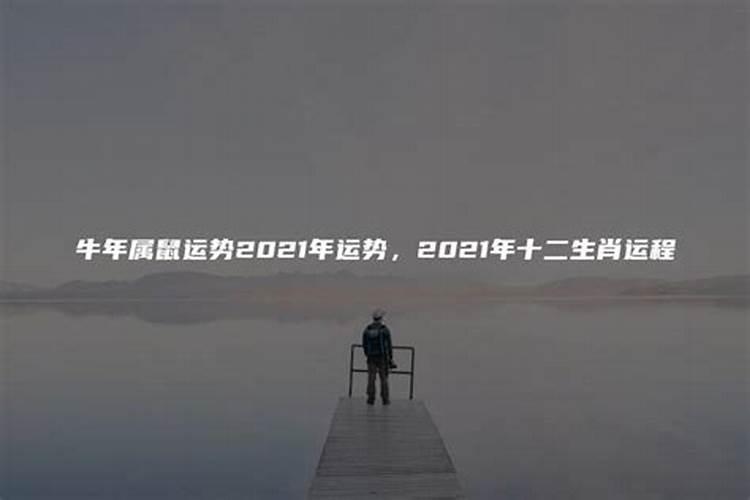 属鼠的牛年运势2021年运势