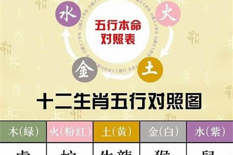 女生今年本命年怎么调侃她呢