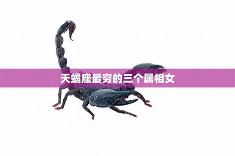 天蝎座2023年天蝎座运势详解男