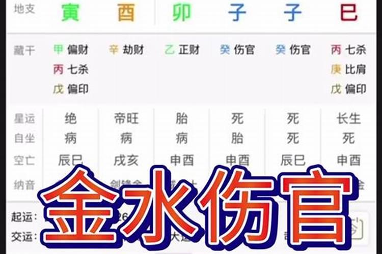 金水伤官亿万富翁八字