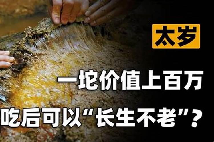 太岁肉能吃吗