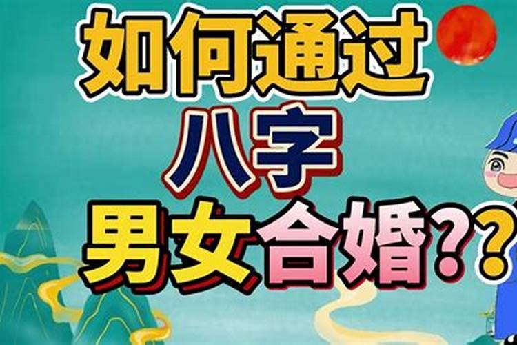 属牛今年财运,运气如何2023