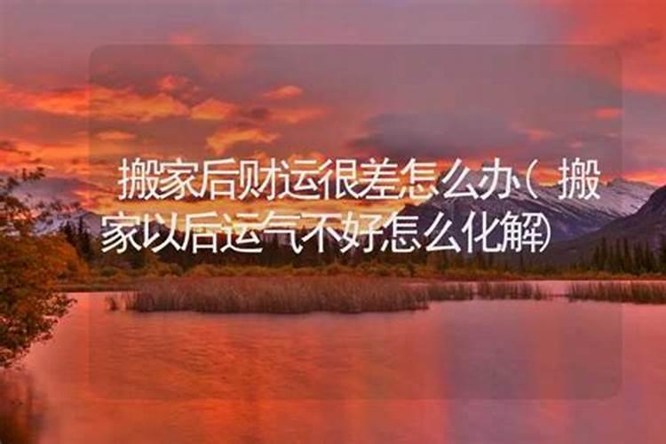 放生后一直财运不好