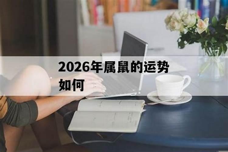 属鼠的到2026年多大岁数