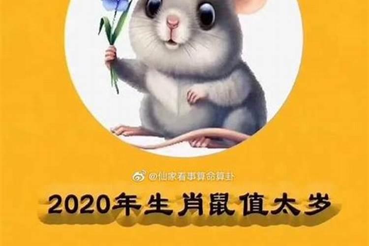 2020年属鼠人的年龄表