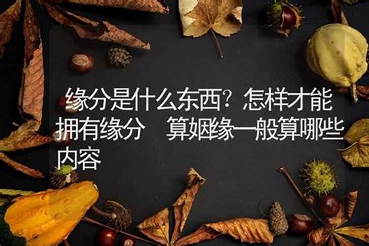 算命说的缘分是什么意思