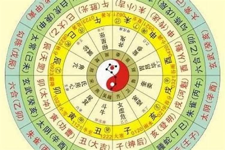 属兔今年犯太岁吗2019年