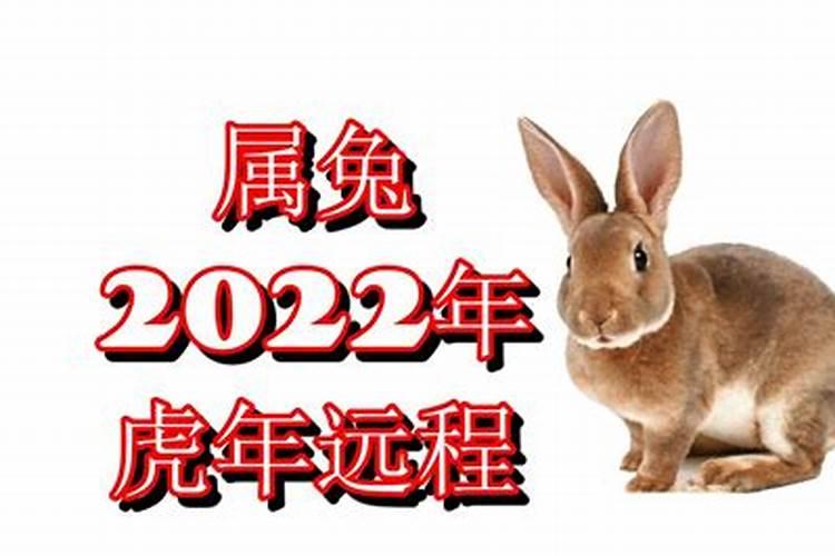 属兔在2022年虎年运势如何呢