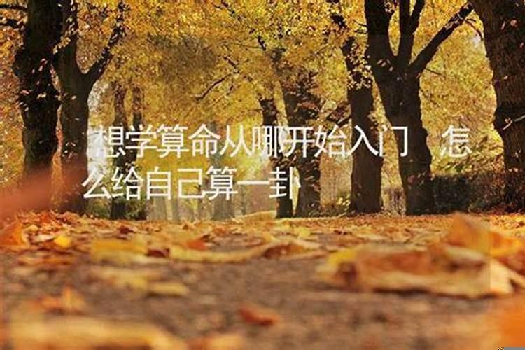 给儿子算命会不会不好