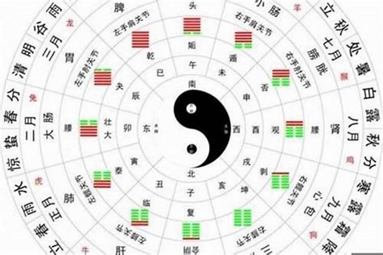 伤官见官八字必须有财星