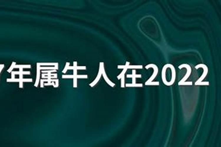 1997年属牛2021年结婚