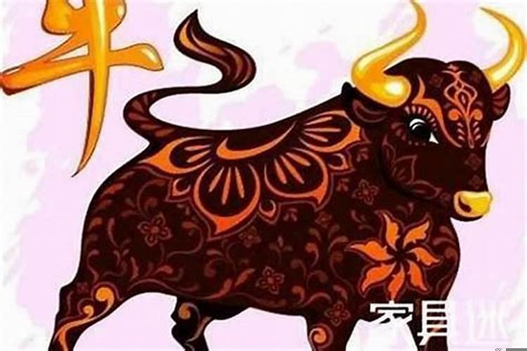 属牛为什么今年不顺了