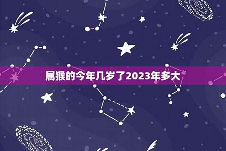 属猴今年几岁了2023年出生