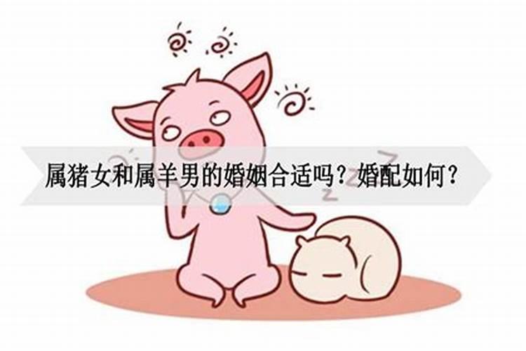 男羊女猪婚姻合不合