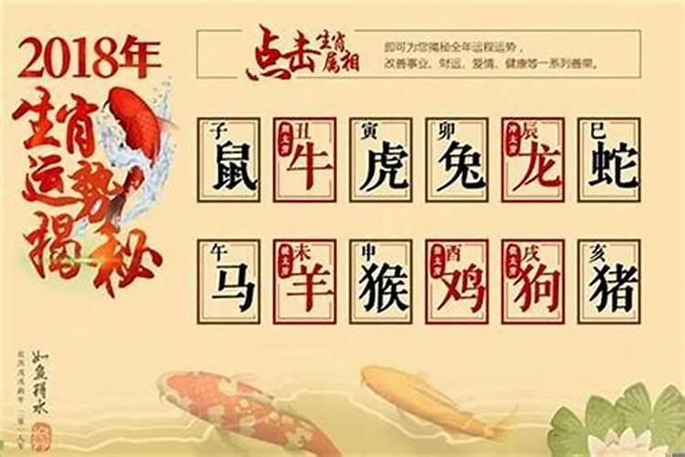 属兔今年11月份运势