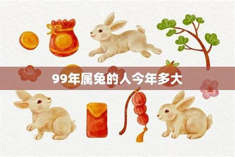 99年属兔人今年运势如何