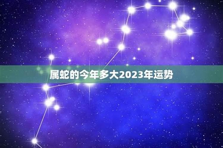 属蛇的今年多少岁了2023年