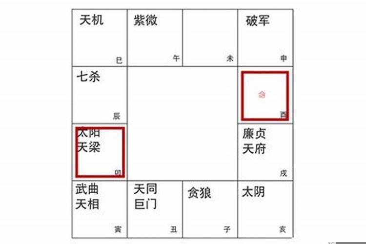 流年太阳天梁入命宫