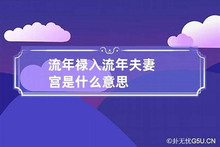 流年官禄是什么意思