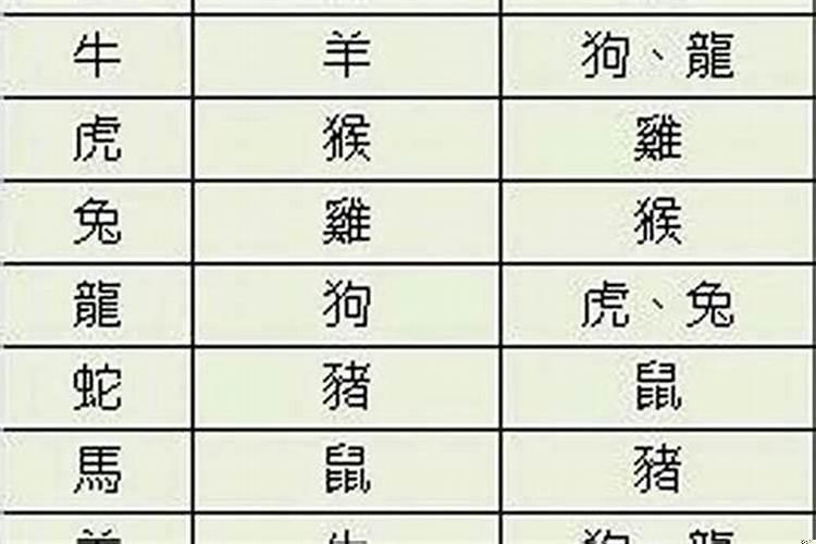 命运八字是哪八字