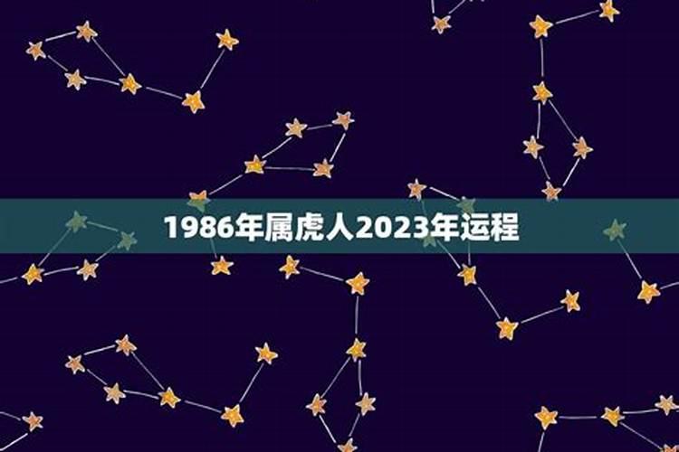 2023年1986年属虎人命运