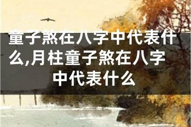 八字中童子是何意思