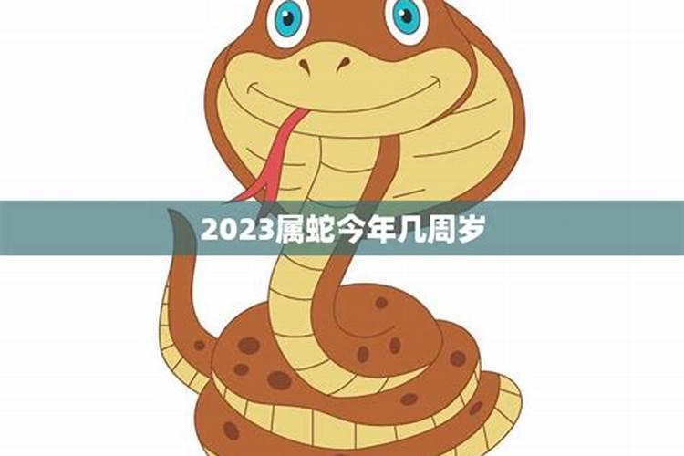 今年属蛇的多少岁2022