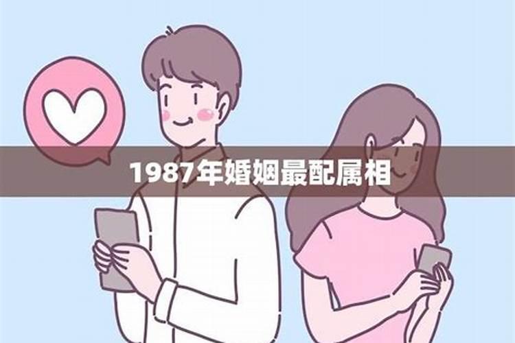 1987年婚配属相如何