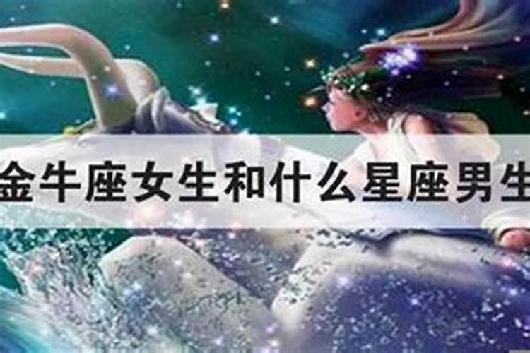 金牛座和什么星座合婚