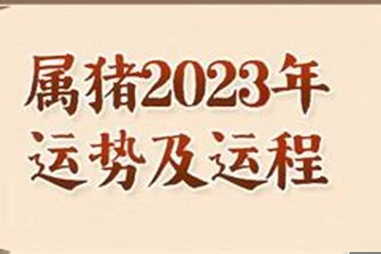 属猪2023年运势第一运势