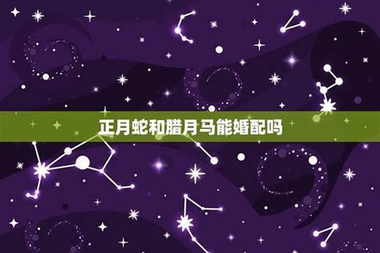 2021年犯太岁的生肖狗佩戴什么好运