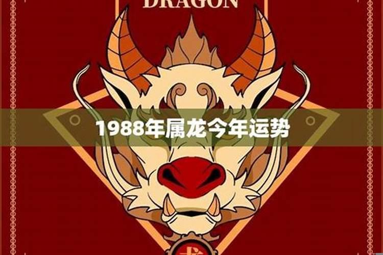 1988年属龙今年运势2022