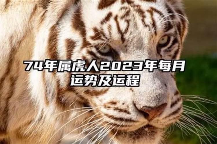 86属虎男2022年运势怎么样