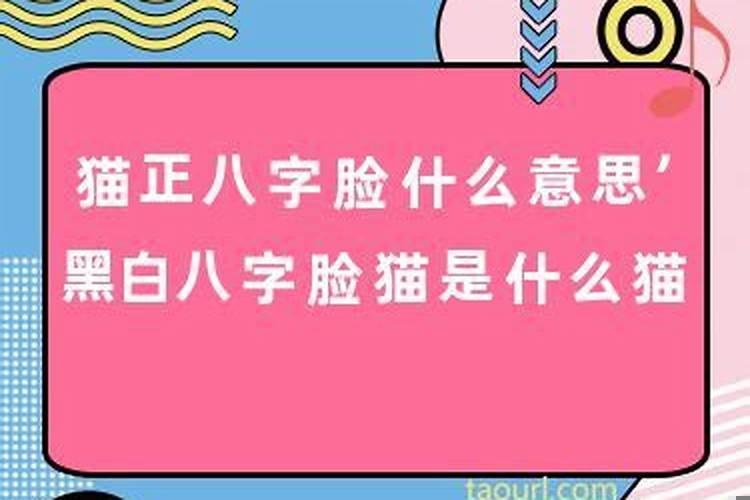 八字脸的女人面相