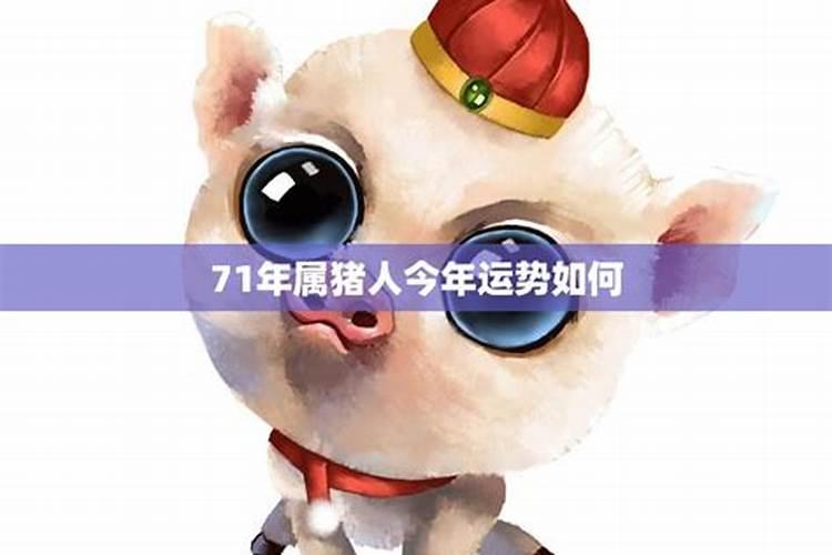 猪属相今年月份运势如何