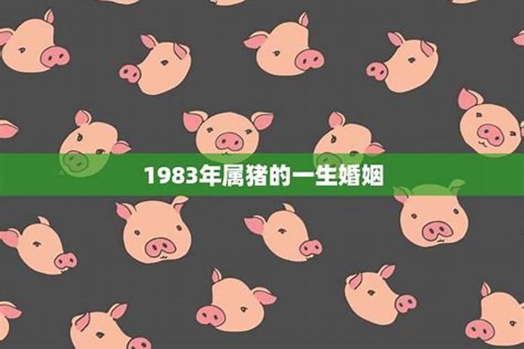 1983年属猪的一生运势