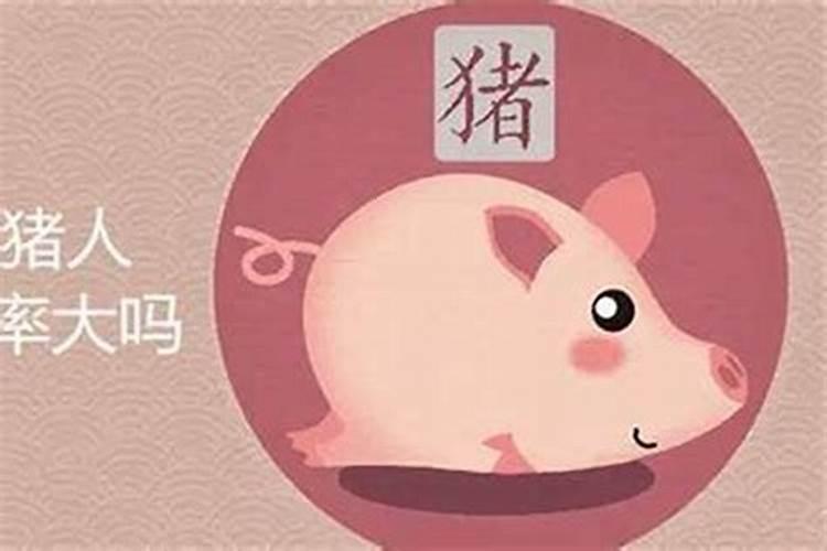 属猪今年感情怎么样呢女生婚姻如何