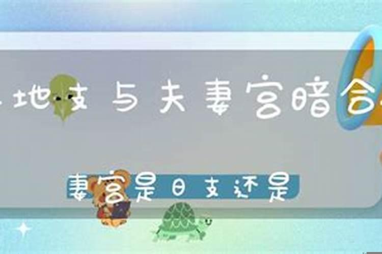 从生辰八字判断两个人合不合适