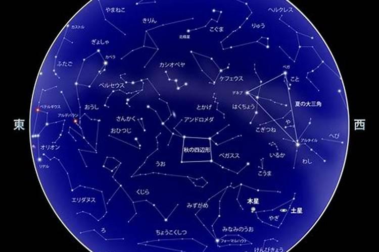 2020年11月18日星座运势