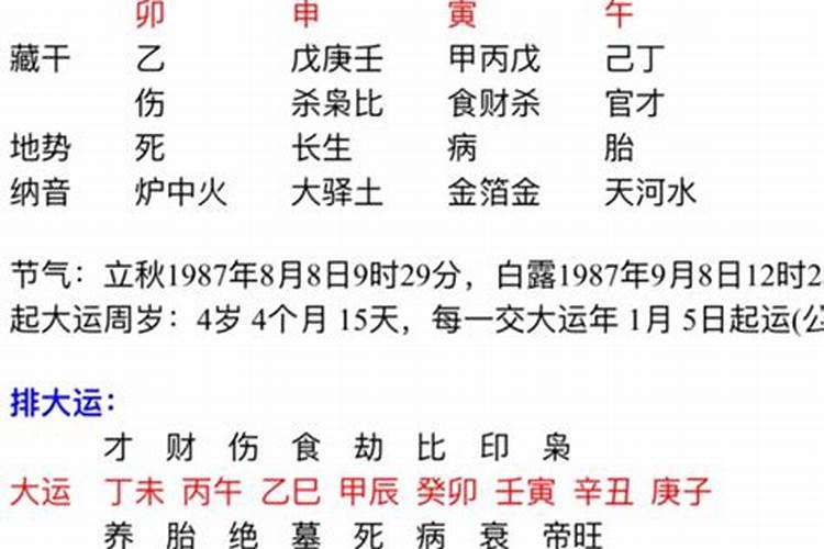 梦见蛇把我儿子被咬了一口什么意思呀