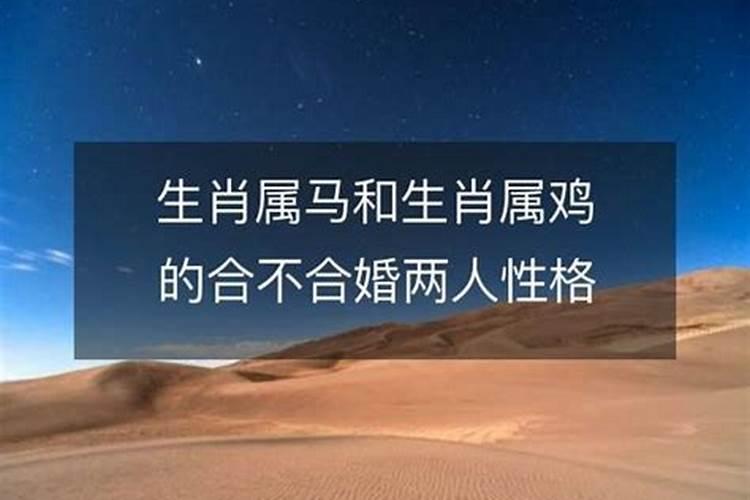 属猪2022犯太岁躲星时间表