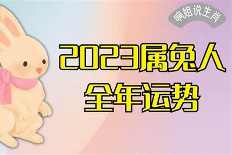 2022年兔人运势运程每月运程