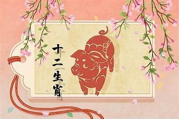 属猪的男生今年运势