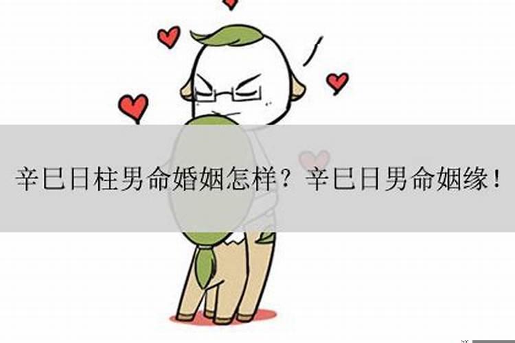 属牛和属什么的合婚