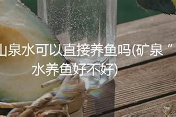 太岁可以用矿泉水泡吗