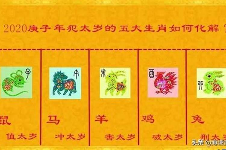 2019犯太岁的5大生肖