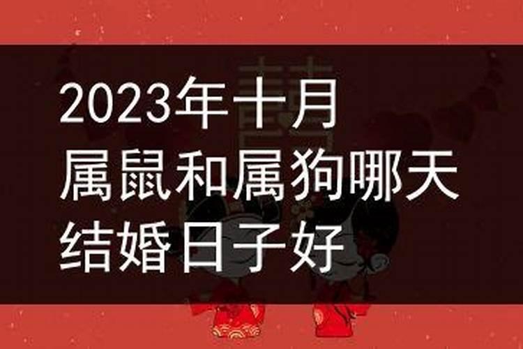 2022年属狗哪天结婚好呢女孩