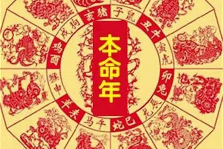 害太岁年是什么意思属猪怎么破解